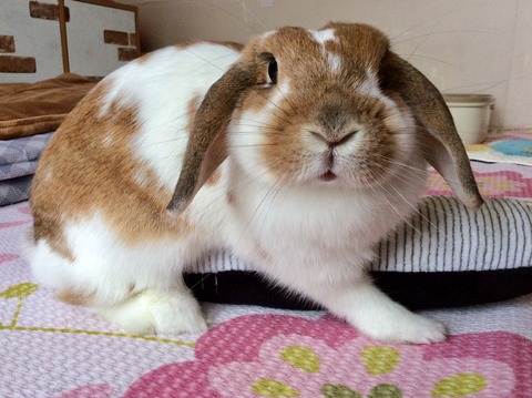 5D2C3EEB-9942-4A82-A0FC-B4DE313E3894