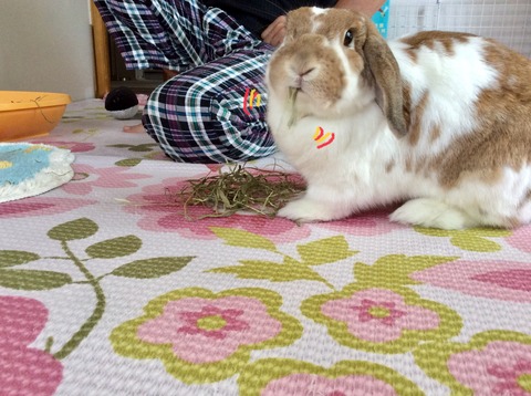 012D4AAD-AC57-4C8A-B964-C2301BDDA63D