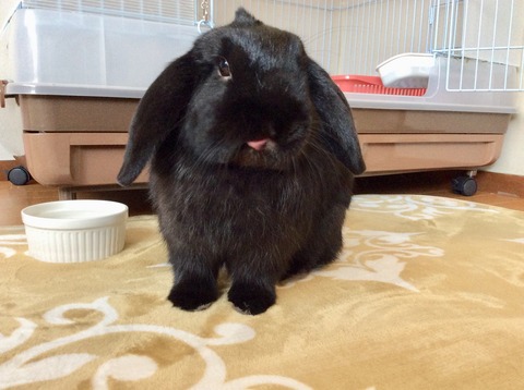 B22046BA-7100-486D-A4C6-8AFD9659007C