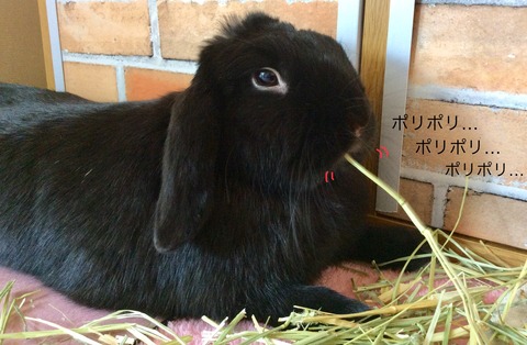 06827E10-BFEA-480D-BAFB-7AEF15A78B3D