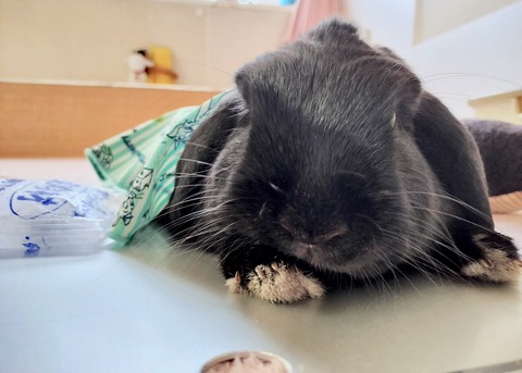 30598684-C2DD-4007-B191-1652A65EFECC