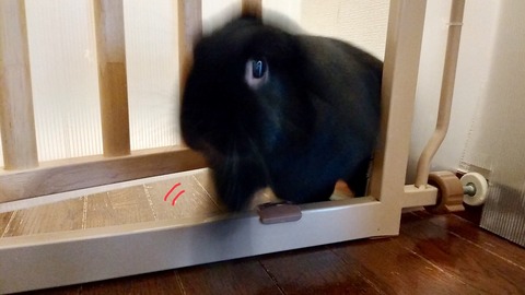 5FFFFE34-9136-4D24-89BE-19EBAB5B013D