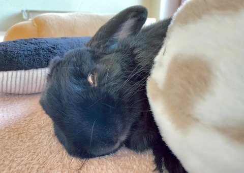 A8964201-7C87-4F18-9D0F-7B9AAE0712F8