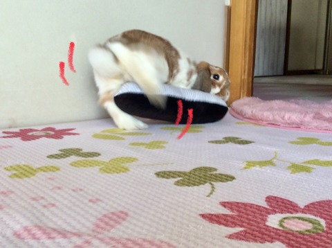 4FBCB282-C1B7-4F13-B0BB-41855ABCBA7E