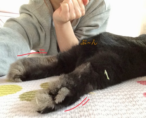 38A91177-FD62-4537-86B2-4AE5C9CE0F31