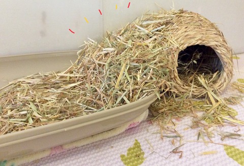 693C8183-50E1-46F3-9687-0234E2E7EF69