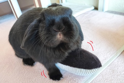 48F97E13-7150-469C-952B-D8AF000779A6