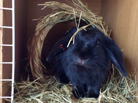 2BF40AFB-9EED-47B7-988F-B988D13D1B2E