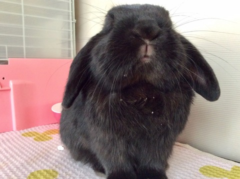 1B912E5A-B613-4463-B88C-271AD27BB5AA