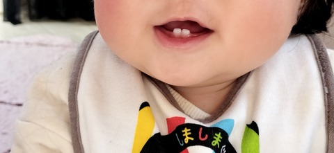 91D8B34E-B2D7-4883-9D4B-258C8BDDA6AC
