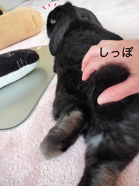 BCFB7B38-E1B0-48A8-A629-C1208262615E