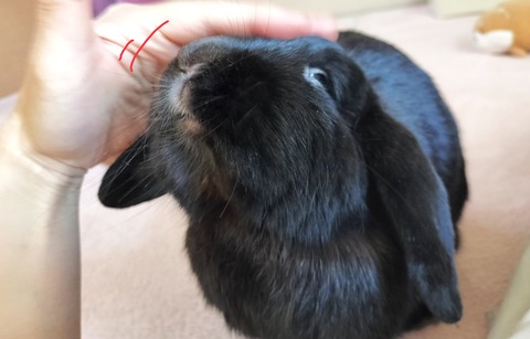 4DCB8BA6-6A53-40FC-A019-C558CE9C4233