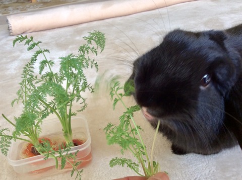 6A9AA9B8-D225-4566-8B1B-F31A9C9656CF