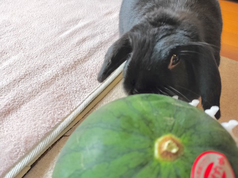 C5C0A05C-61D9-4A9E-84F8-1D79A72EC6EE