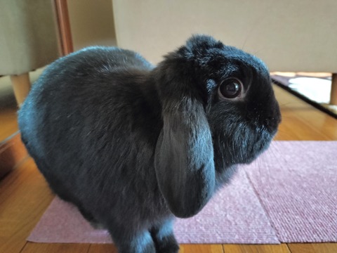 B2458A40-DE98-4963-942C-24CAB62F137C