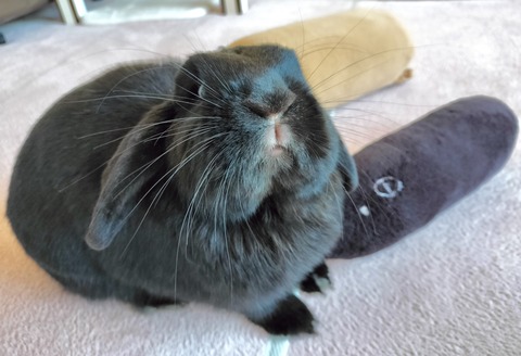 45001250-2DF3-4C5A-B7B2-42F92EE44B0A