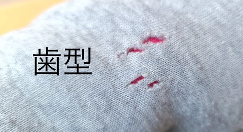 9A20A1ED-2AFA-48C3-819E-E8CA579F863B