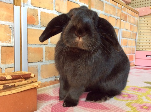 2AB3620D-FBAB-4B0E-8152-0B217E4B8A80