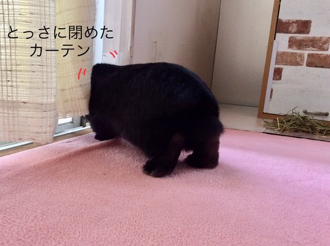 7ECDB3A5-4A80-43B8-AF33-A2E412C960EE