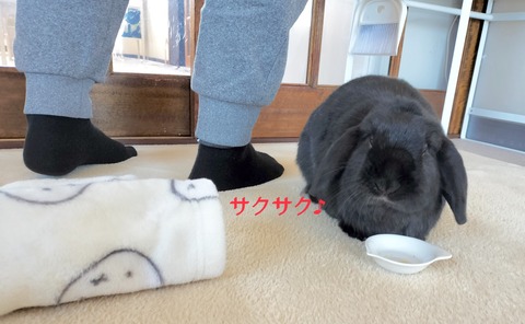 B733A3A8-803C-4F93-9750-02F049352C38