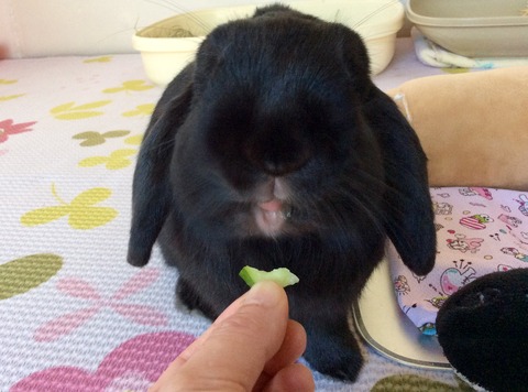 992143F8-9015-48B7-8F51-FFF577046CD9