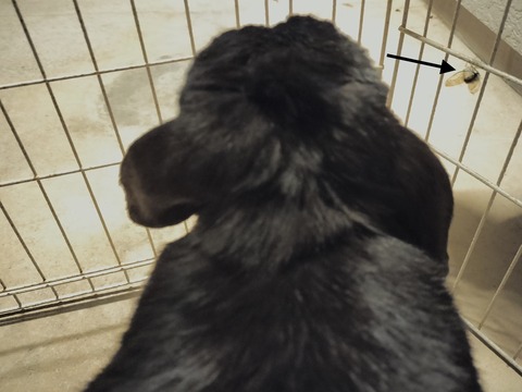 EED1DD1C-E2A2-458D-9519-056EE2AB1D9C