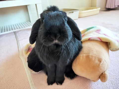 714E7A7E-FED6-41A6-9ED6-2C7EBC84D0A7