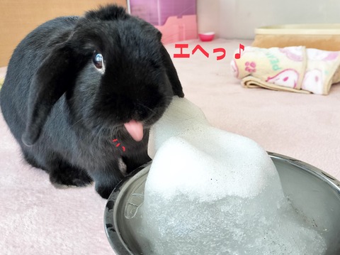 C58BD258-DBD5-4D11-85F4-A1BAB3897FB3