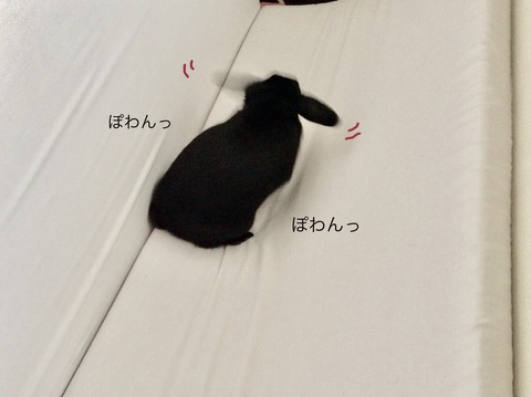 BC23DF0D-C5BE-4683-9667-2D529592CF56