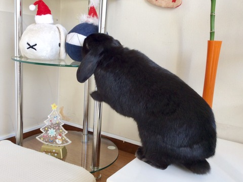 2F24738F-3683-43EC-9ACE-BF2AA51C7EE1