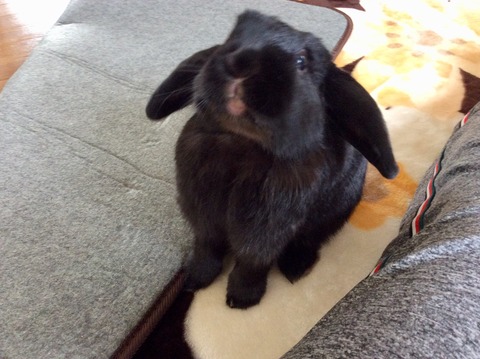 657DD3C9-59A9-4E56-B61A-1AD6D7ACC464