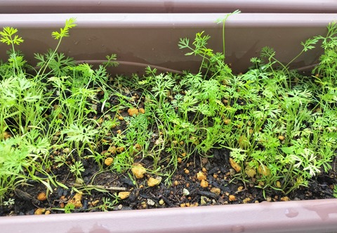 D89B2D09-A161-4FC8-8397-BA70125E88E3