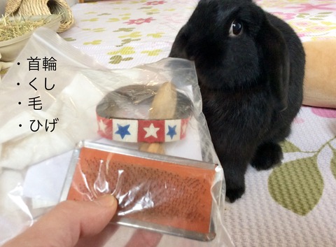 2E73E2E3-807A-422F-9705-D4B9D85D23C1