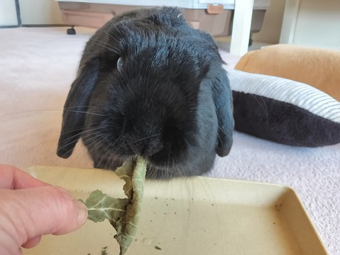 56935CC7-FF2E-4AF9-8F22-57E10ADBA034