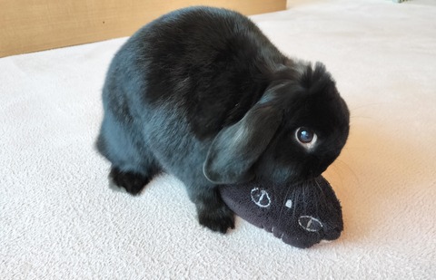 B408316D-A015-48F6-B13C-6E83C040F864