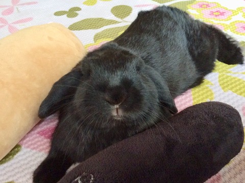 052236E1-A831-45A9-B3D8-149B5E93A932