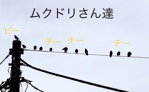 77359325-788D-443F-A39D-4D496B10FE14