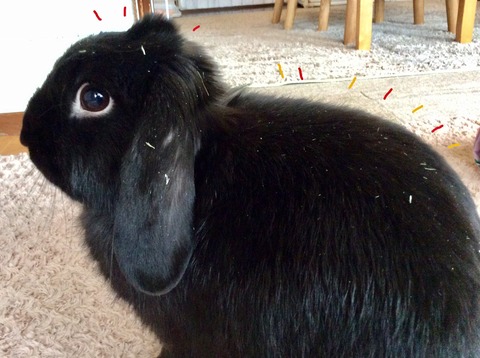 A8C8A61D-9F3E-459A-B4E1-681CAA914BFD