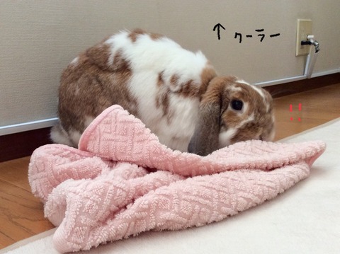 03667376-B825-4C4A-B9E6-27E8C4D1F921