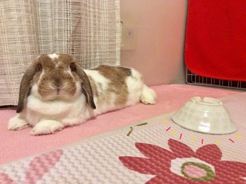 7DD11678-913E-4C0F-9CB9-6B1AEA0401DC