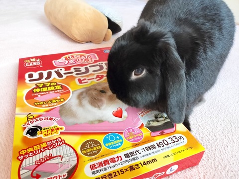 E85A491F-6693-4A99-B337-2860F45EEB29