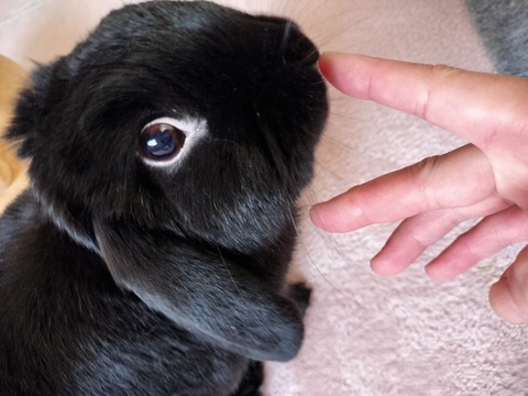 7564C77E-2821-4C96-A1E9-5BBB15579C88