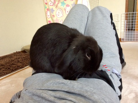 C3CE34B2-FA73-4D9C-AF4C-B2D8DF611D64