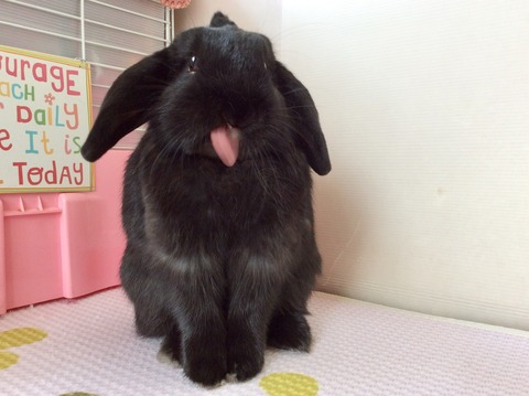 339D2F59-3D47-4077-956A-EFF9D7064219