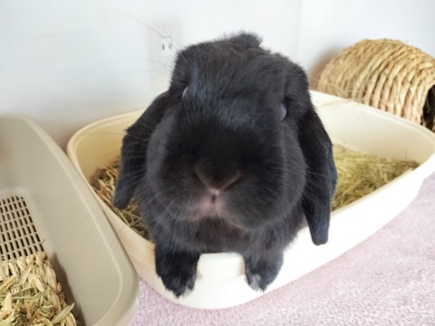 FCA7EF0C-2873-49DB-BD81-8C6936351F1D