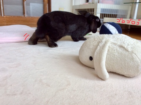 6114854C-6022-44E3-B04C-1733AF0A0ECE