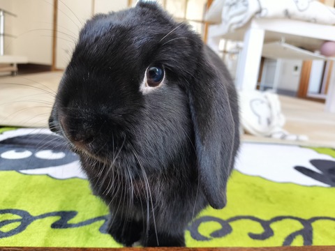 81D673AE-AAA5-40A6-B758-6FB99750EDDB