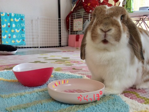 12F3D8ED-C1AC-4FD9-A8FA-E39F6EBDA03F