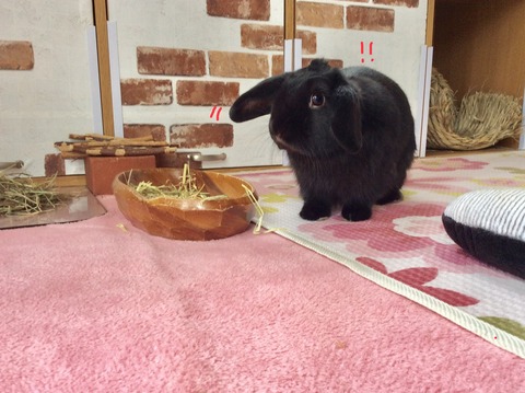 3173A369-D969-44E5-A69C-CA6FB89A5936