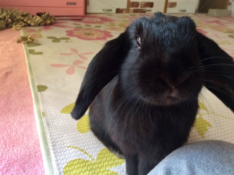 FF66D820-25E7-4274-8CC6-B9043B14CBFC